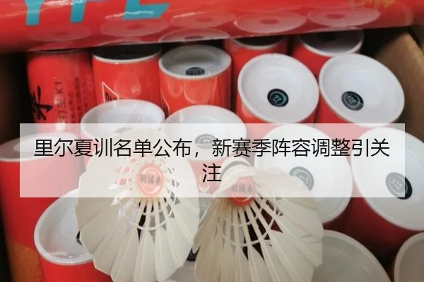 里尔夏训名单公布，新赛季阵容调整引关注